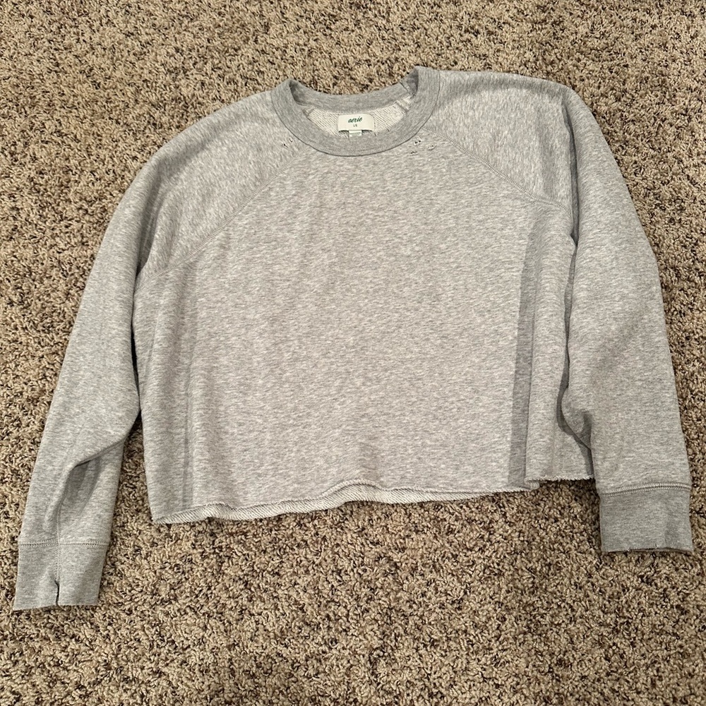 Aerie sweatshirt